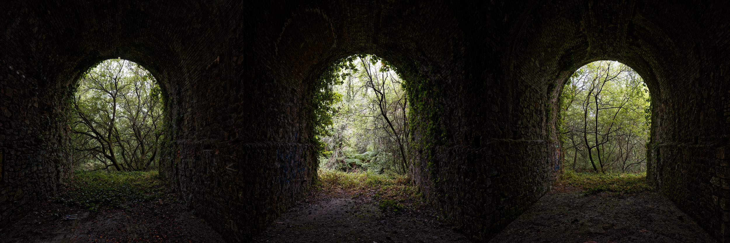 FUJI8547_DxO TRIPTYQUE
