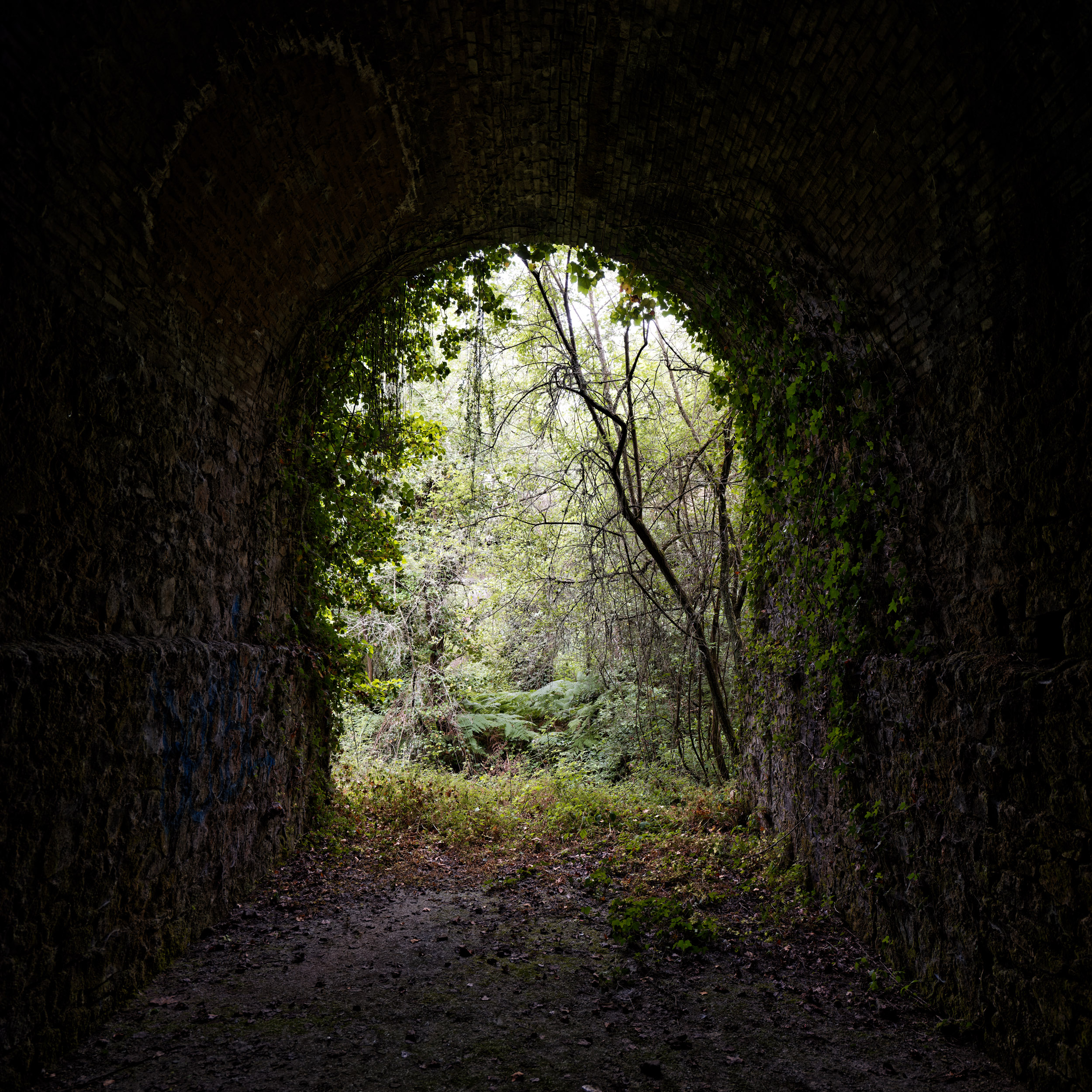 FUJI8552_DxO