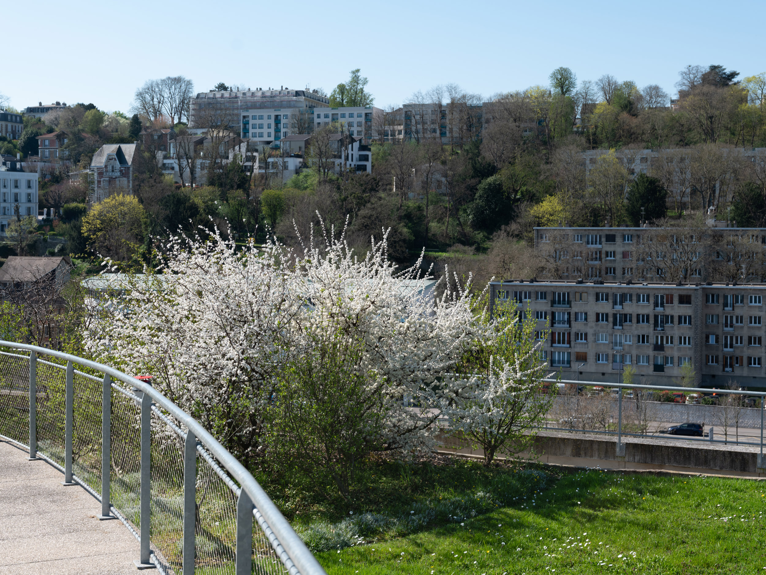 BTP_Jardin Bellini©spectrum_2025_11
