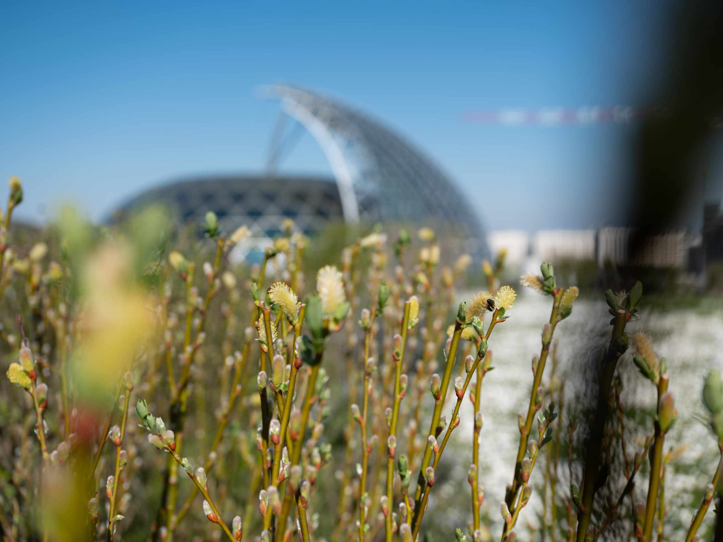 BTP_Jardin Bellini©spectrum_2025_21