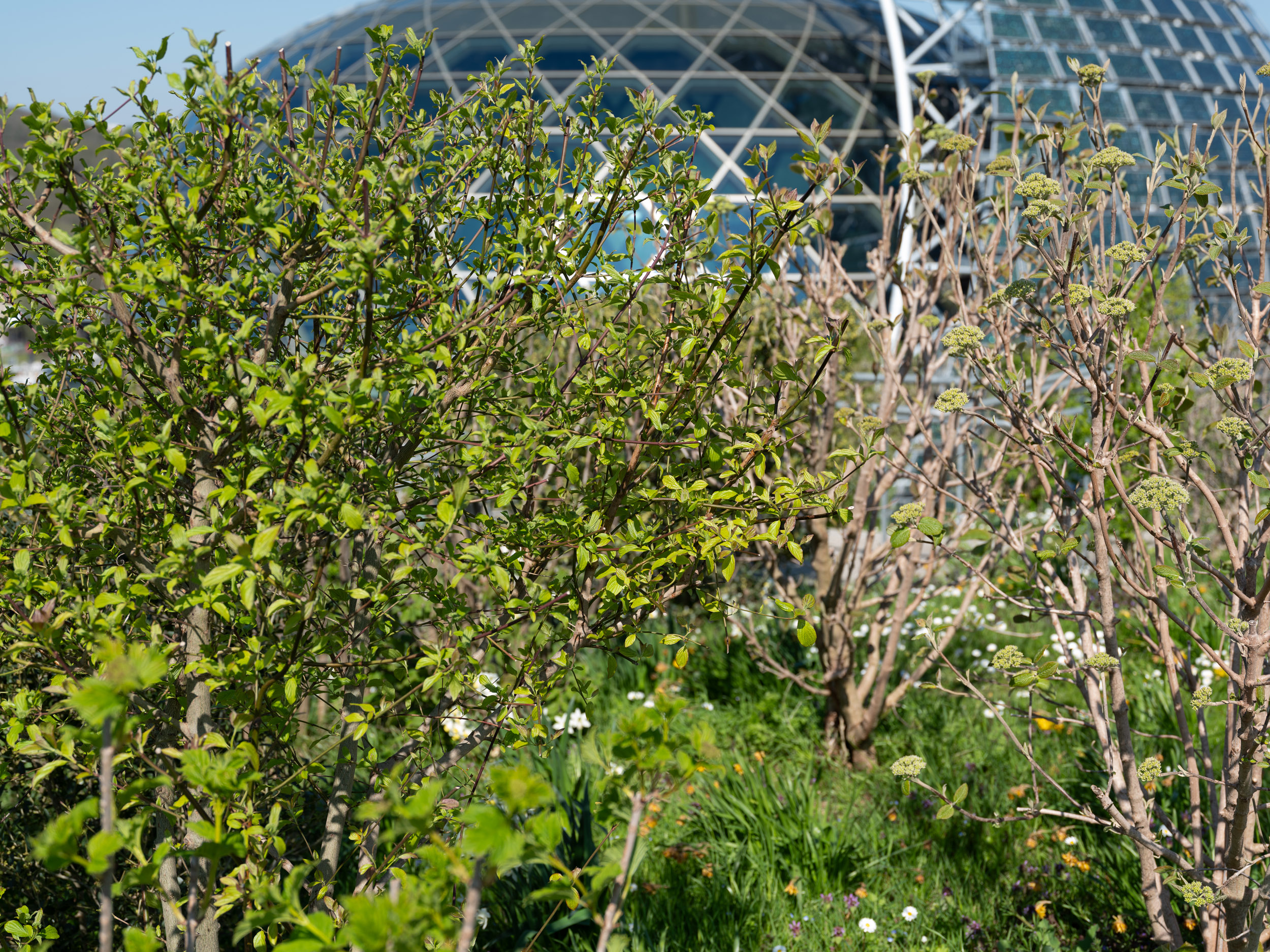 BTP_Jardin Bellini©spectrum_2025_25
