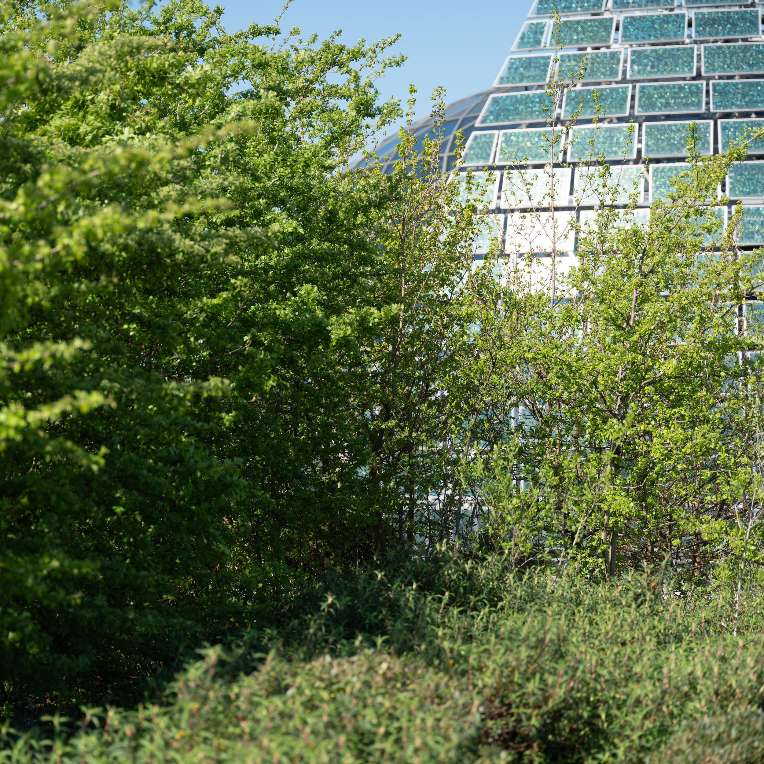 BTP_Jardin Bellini©spectrum_2025_5