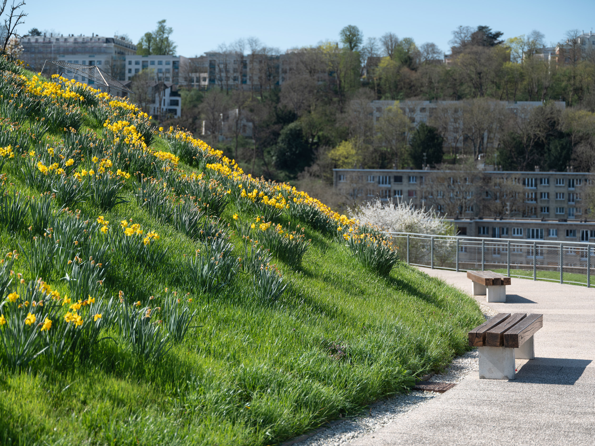 BTP_Jardin Bellini©spectrum_2025_7