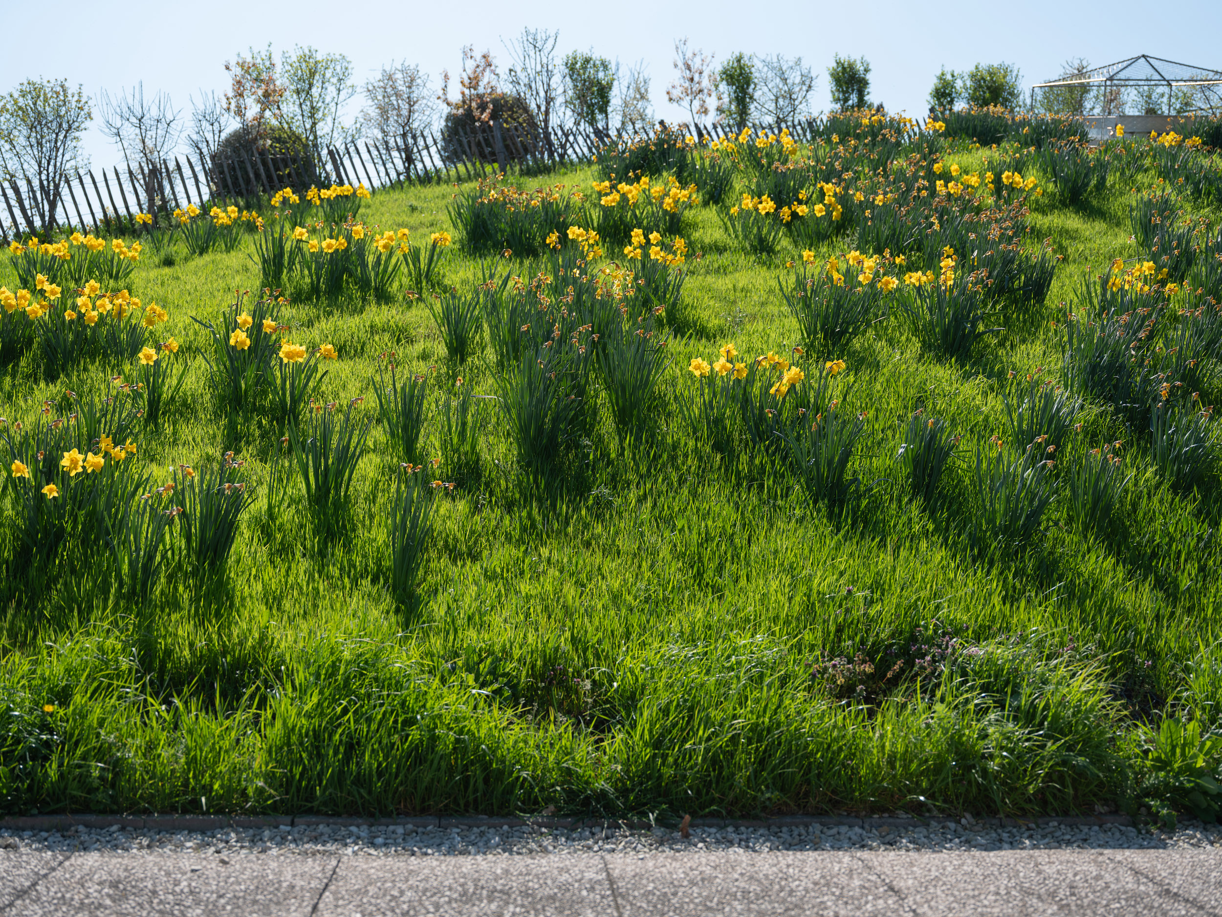 BTP_Jardin Bellini©spectrum_2025_8