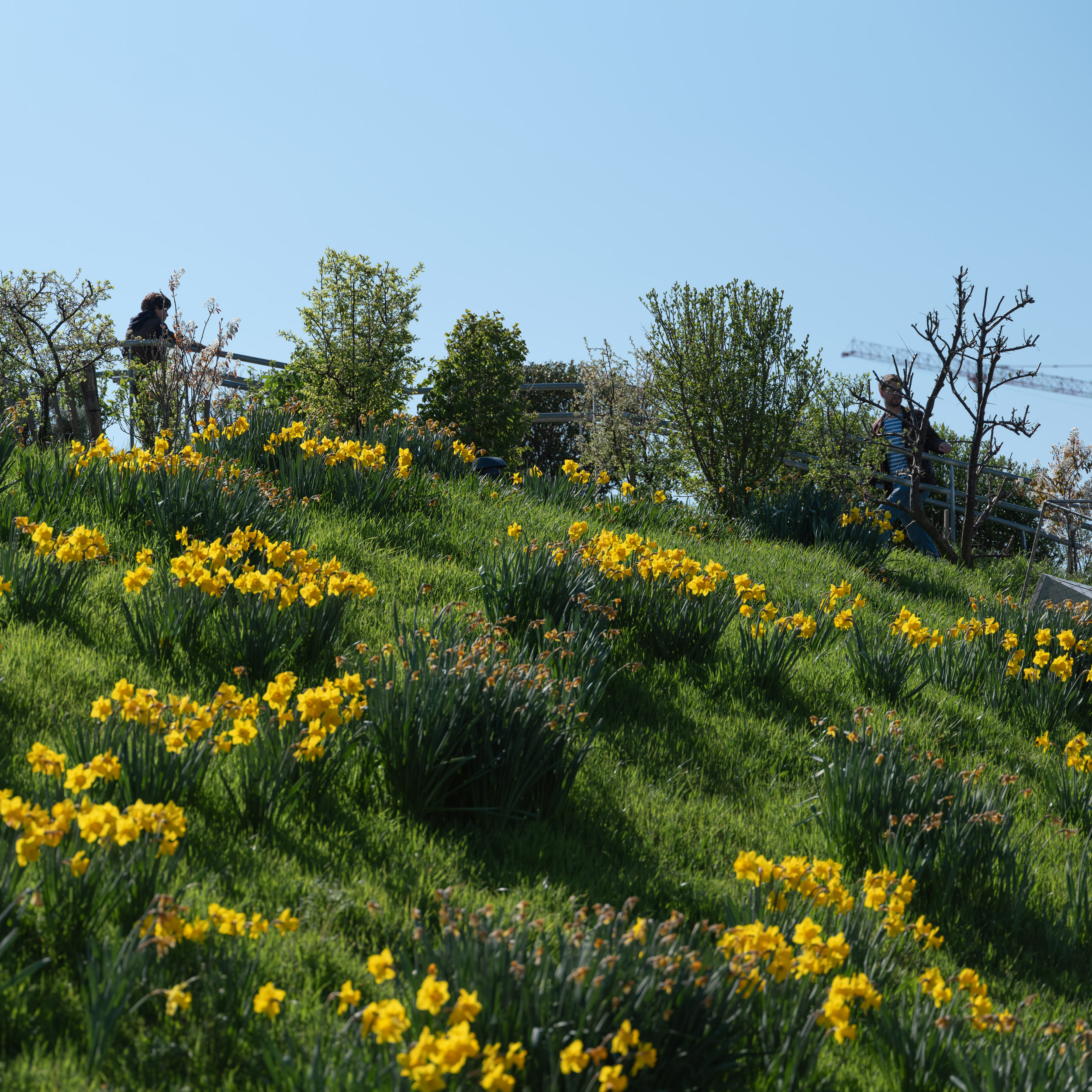 BTP_Jardin Bellini©spectrum_2025_9