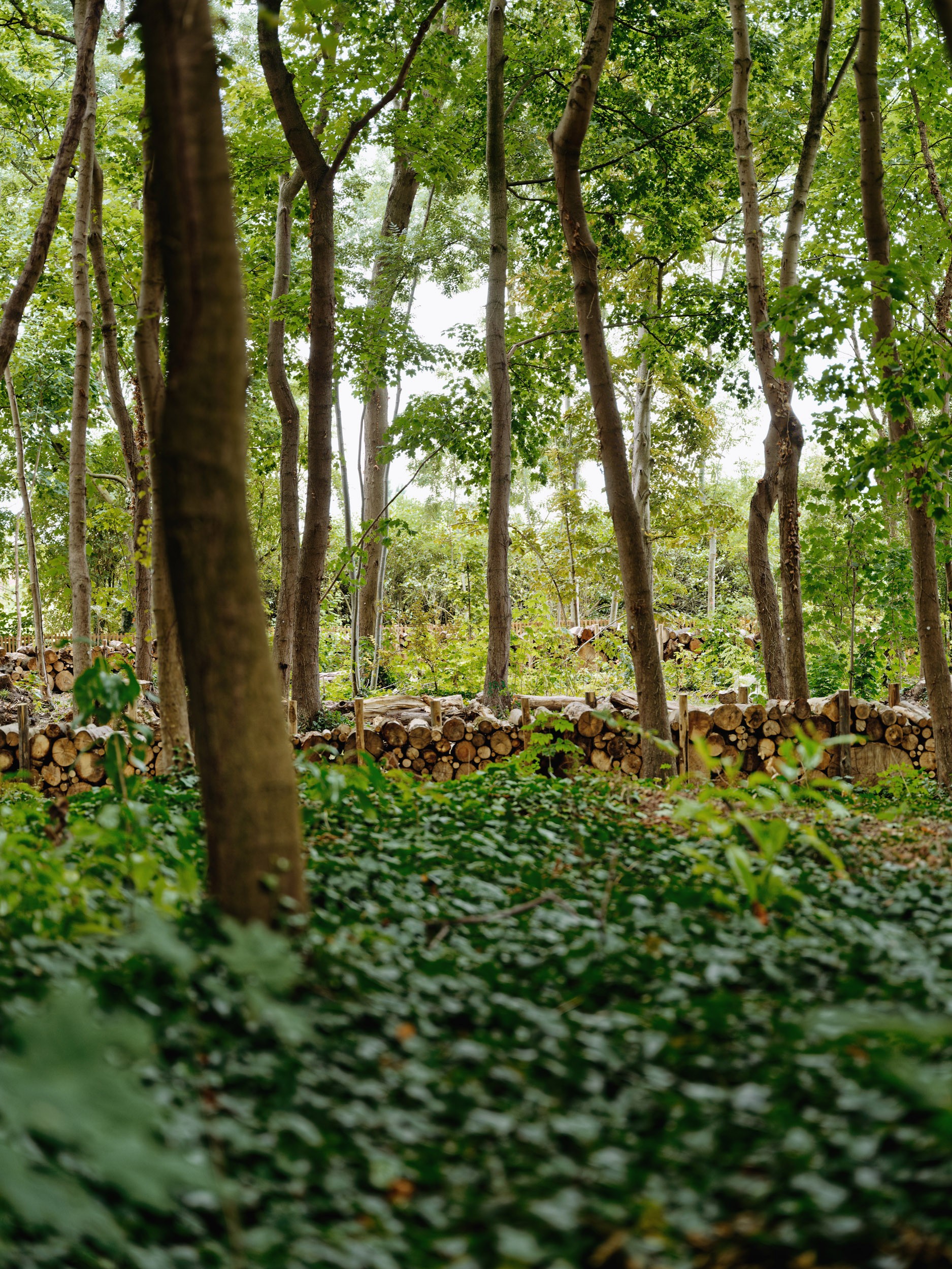 FUJI3626_DxO
