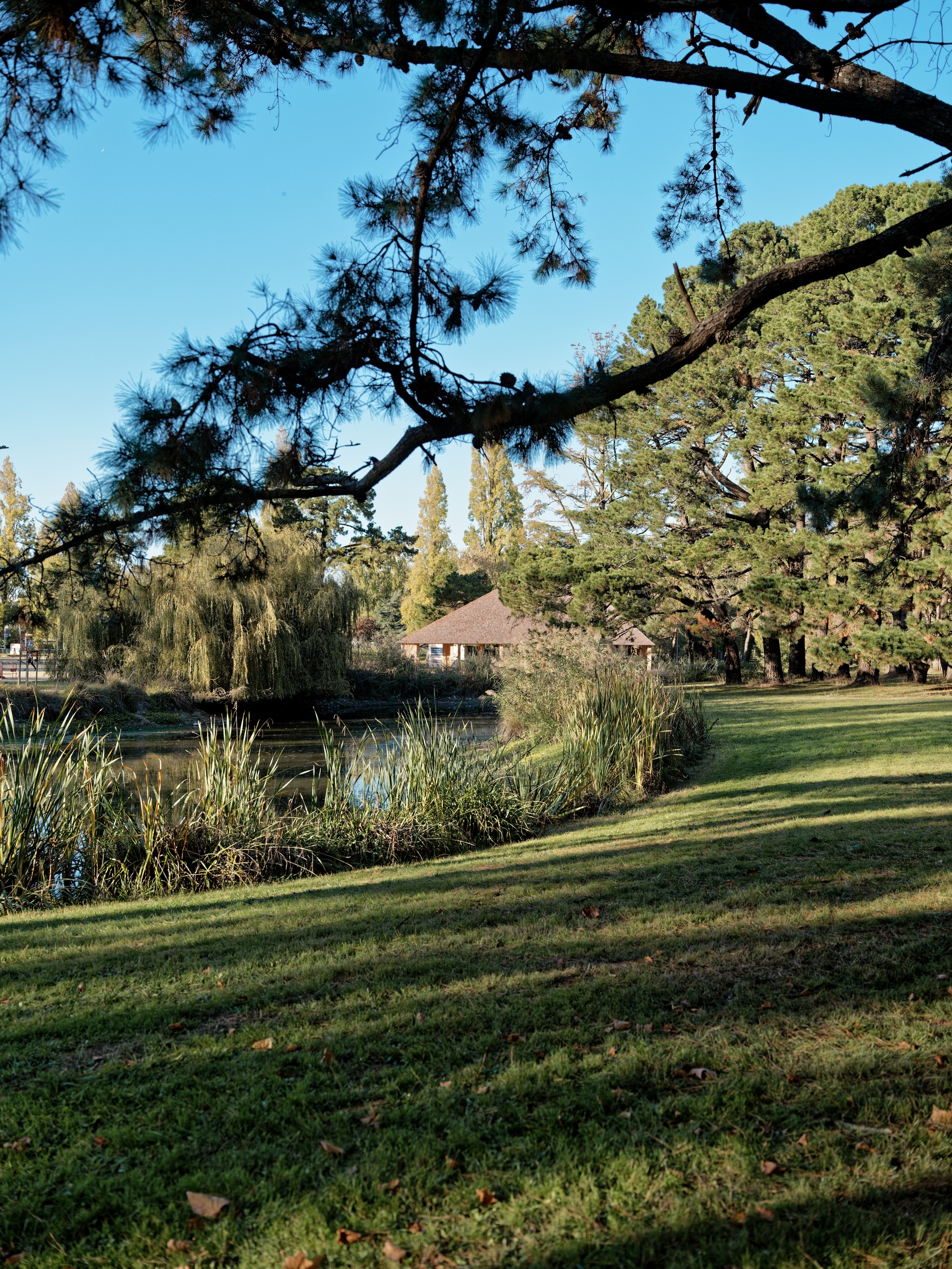 SN_Boulodrome©spectrum_1