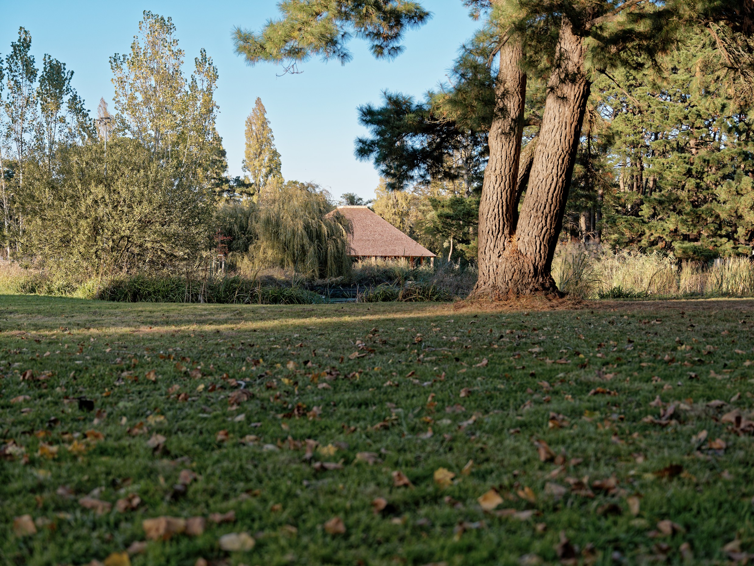 SN_Boulodrome©spectrum_14