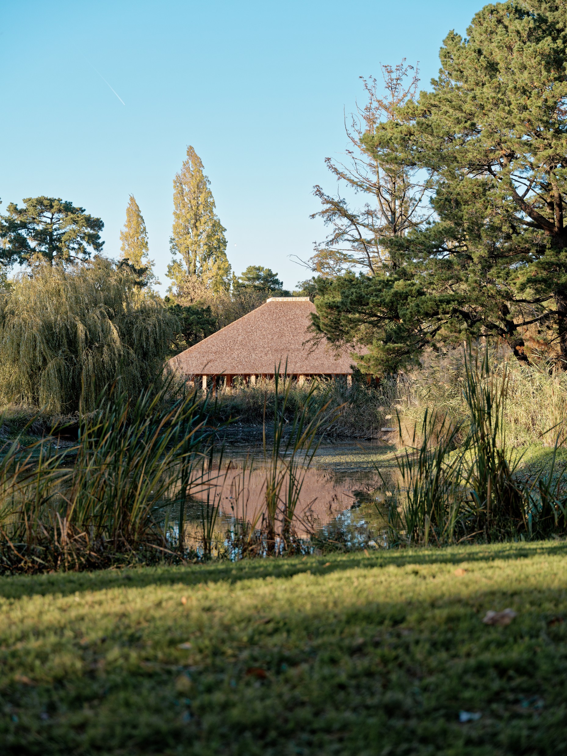 SN_Boulodrome©spectrum_15