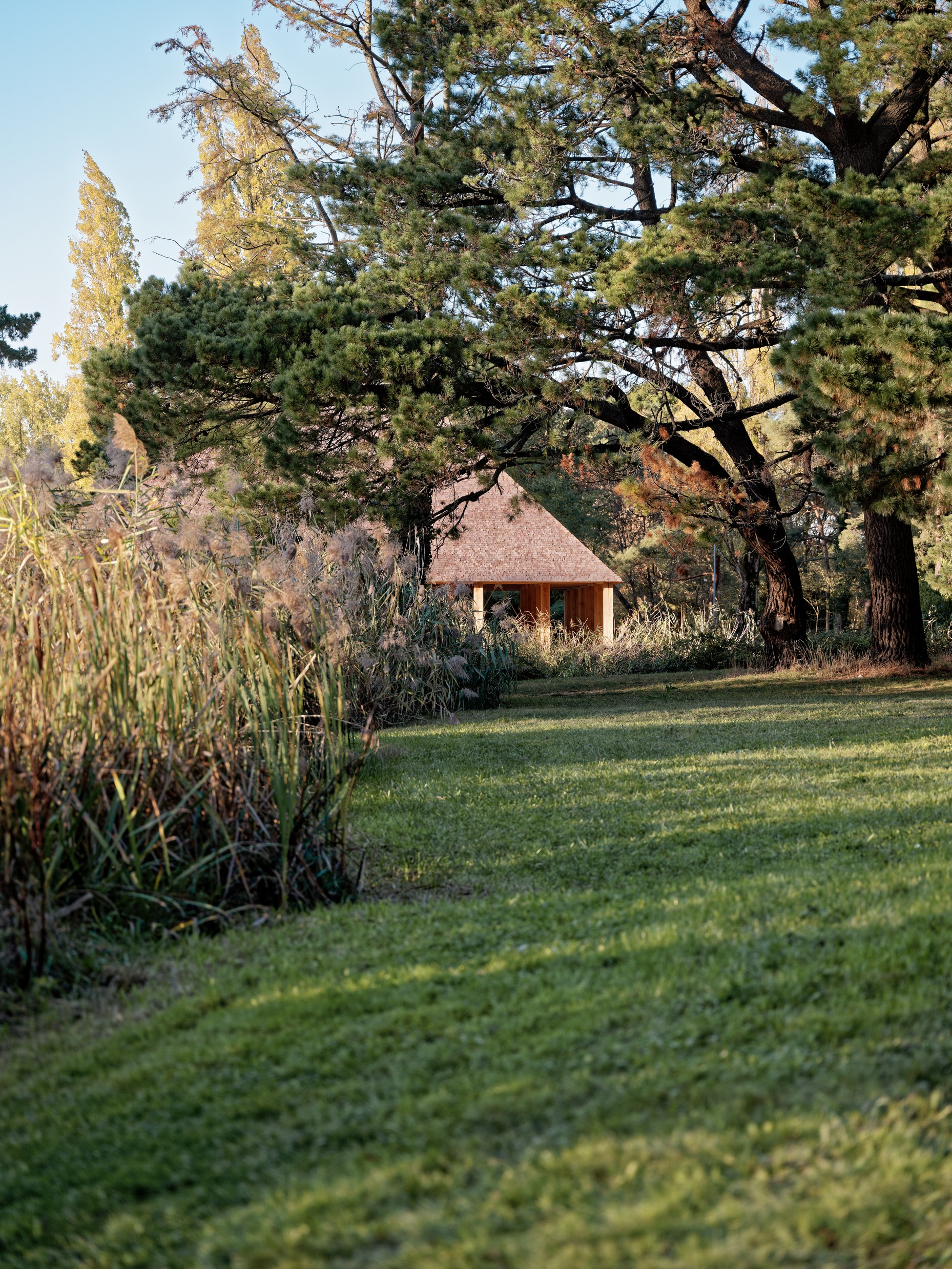 SN_Boulodrome©spectrum_16