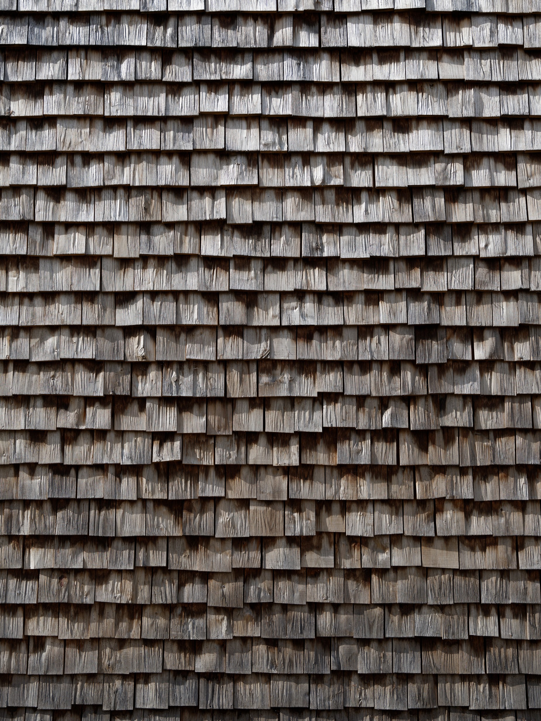 TRIGNAC_MEDIATHEQUE©spectrum_3